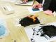 Promosso l’esperimento Montessori di Castellanza. Il metodo entra nei programmi delle scuole medie