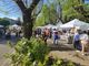Mercatino di primavera in viale Rimembranze: buona (anche) la seconda