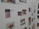 Dona un sorriso: la mostra fotografica “Passi, voci, sguardi” crea un ponte tra generazioni