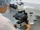 Giornata nazionale del tecnico di laboratorio biomedico. Che c’è e lavora, anche se non si vede
