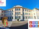 Scuola Tommaseo all’insegna dello Steam e non: dal 13 al 17 gli studenti sono impegnati con i Bebras