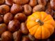 Spadroneggiano zucca, castagne e musica. Gli APPUNTAMENTI DEL WEEKEND a Busto e in Valle Olona