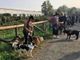 Sabato 19 torna la “Zampettata d’Autunno”