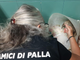 Angelo è stato curato e coccolato dall'équipe della dottoressa Pais assieme ad altre bestiole: diverse immagini sono state oscurate da Facebook per il loro dolore