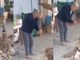 foto per cortesia dal video di Enzo Carretta