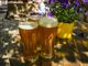 Sport e feste: un week-end a tutta birra a Busto e in Valle Olona
