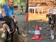 Brigitta e Elena due magnifiche cagnoline che cercano casa