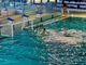 Busto Pallanuoto Paglini Store, il coach carica i ragazzi: «Vi voglio battaglieri»