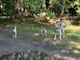 Cani liberi al Parco Alto Milanese. «Un problema di sicurezza per tutti. Non aspettate a segnalare»