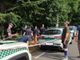 Gallarate, &quot;cadono&quot; gli alberi di via Curtatone