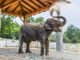 Grandi appuntamenti, iniziative e novità: il programma autunnale del Safari Park Lago Maggiore