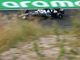 Alpha Tauri. La scuderia di Faenza veramente in crisi (foto ufficiale F1)