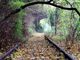 Da Regione 10 milioni per il ripristino della Ferrovia turistica della Valmorea