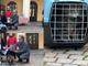 Festa del gatto a Olgiate, premiati i vincitori del concorso “Io e il mio gatto”