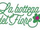 Per Natale il fiore di cioccolato per donare una speranza ai bambini malati