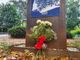 Nell’anniversario della morte di Norma Cossetto, nel “suo” parco spunta un misterioso mazzo di fiori