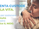 Busto, La Provvidenza per l'hospice: «Aiutaci a mantenere in vita il nostro Nido»