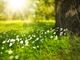 Inizia un weekend baciato dal sole e fioriscono gli appuntamenti