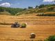 I giovani agricoltori resistono al Covid