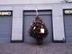 Gallarate, un albero di Natale per Luciana “Treccia” Zaro