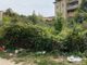 Alcune immagini della situazione nell'area dell'incendio