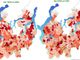 La mappa del Coronavirus nel Varesotto: Varese, Gallarate e Busto in calo, nel Lavenese l'incidenza più alta