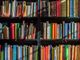 Busto, nuovo portale della Rete Bibliotecaria Provinciale