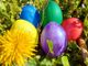 Sociale, verde, svago: che weekend a Marnate
