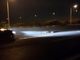 Il cervo investito sull'A8 (foto tratta dal video di Paola Bottigelli, per cortesia dell'autrice)
