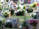 &quot;ul Cimitèi&quot; - il Cimitero
