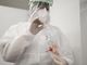 Variante inglese nelle scuole nell'Alto Milanese: classe in quarantena a Magnago