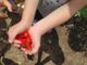 Bimbi della scuola dell’infanzia Beata Giuliana all'opera all'aria aperta e a contatto con la natura