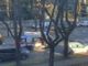 FOTO. Incidente sul viale Duca d'Aosta a Busto: cinque veicoli coinvolti, traffico deviato