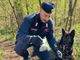 Boschi dello spaccio: i cani Kevin e Adolf fiutano la droga sotto la vegetazione. I carabinieri di Busto controllano una cinquantina di persone