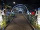 FOTO E VIDEO. Olgiate accende le luci del suo giardino incantato