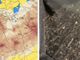 Da sinistra: la mappa delle correnti nordafricane e gli effetti delle polvere color ocra sulle auto a Varese (foto dal Centro Geofisico Prealpino)