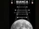 Notte bianca allo scientifico Tosi