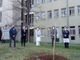 All'ospedale di Busto piantata una paulownia in memoria delle vittime del Covid e per dire grazie ai sanitari