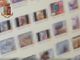 Pedopornografia online: nove persone arrestate in tutt'Italia, una nella nostra provincia