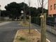 Nuovi peri da fiore per abbellire Busto. Terminati i lavori al parco Brando