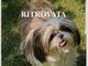 Ritrovata Charlotte a Castellanza