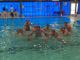 Rari Nantes Legnano, esordio vincente della pallanuoto