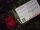 Una linea di 68 rose rosse: l'argine di Sant'Anna alla violenza sulle donne