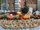 Domenica a Fagnano la regina è la zucca