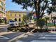 FOTO. Si smonta il “Ti&amp;Ti park”: piazza Trento e Trieste torna al suo assetto tradizionale