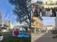 VIDEO. Piazza Trento Trieste uno spettacolo tra colori e musica. Ma che peccato via Cavallotti semideserta