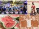 Cibo, birra, cultura e solidarietà: quanto è gustoso il weekend a Busto e in Valle
