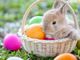 CHE FARE NEL WEEKEND - Buona Pasqua tra pranzi, escursioni e attività per tutta la famiglia