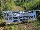Tradate, nuovo blitz animalista al Parco Pineta contro la caccia al cinghiale