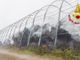 A fuoco 750 rotoballe di fieno a Gavirate: denunciati tre minorenni